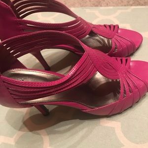 Fuchsia 👠